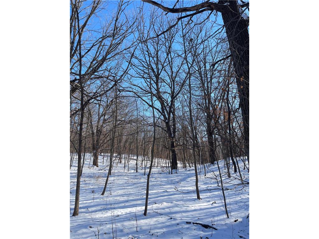 B1 L5 181st Ave NW Ramsey MN 55303 6649385 image6