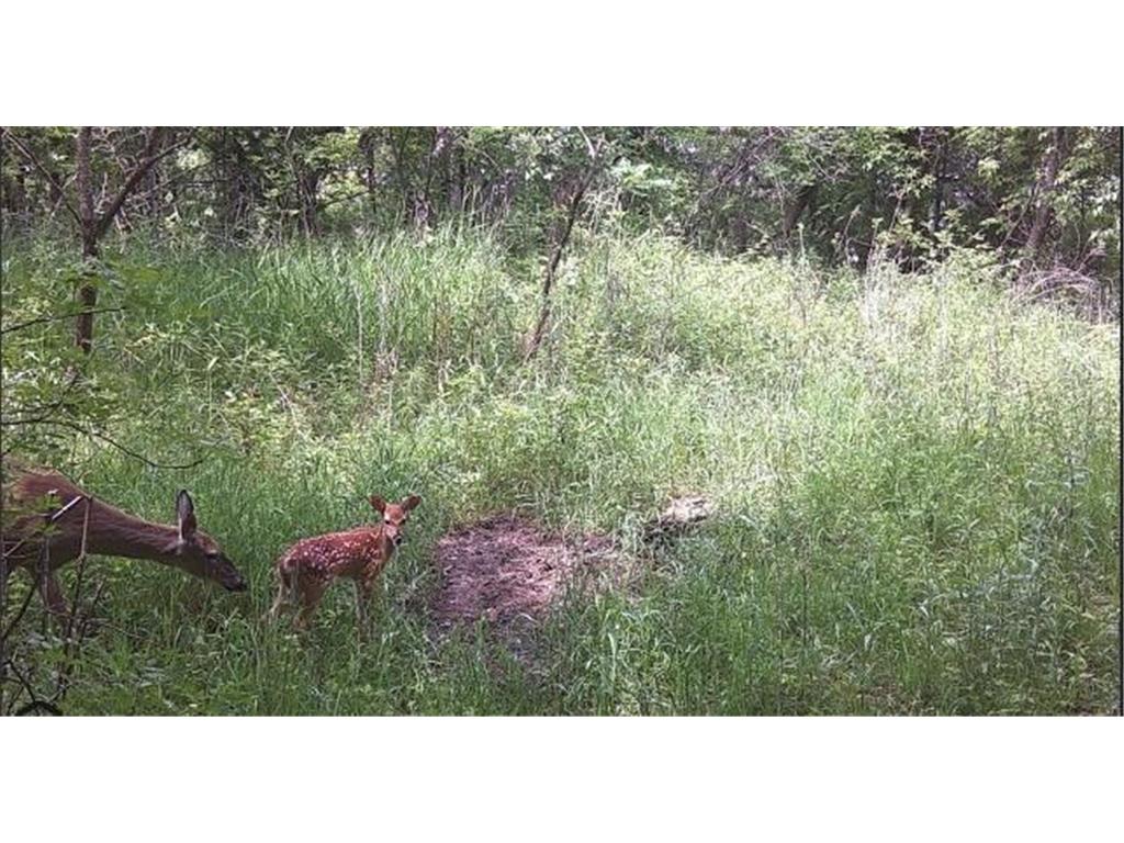 B1 L6 181st Ave NW Ramsey MN 55303 6649387 image3