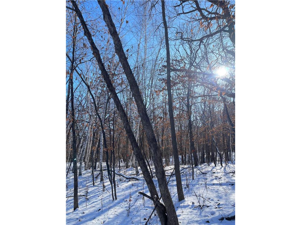 B1 L6 181st Ave NW Ramsey MN 55303 6649387 image5