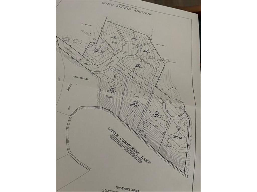 Bird Dog Rd Don's Angels Addition Audubon MN 56511 - Little Cormorant 6234814 image1