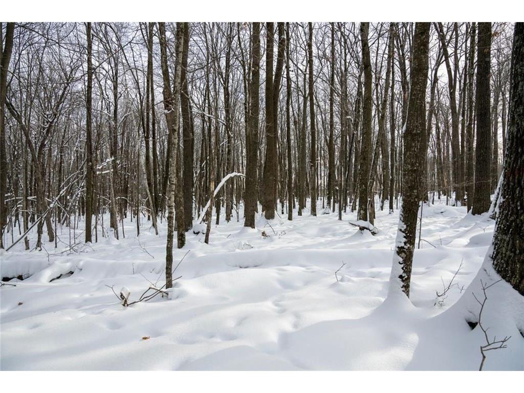 Block 1 Comet Road Couderay WI 54835 - Swift Creek 7002018 image17