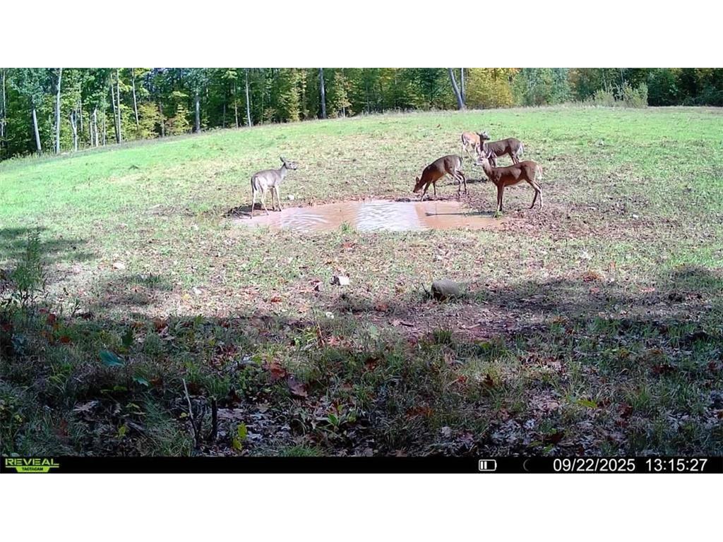 Block 1 Comet Road Couderay WI 54835 - Swift Creek 7002018 image21