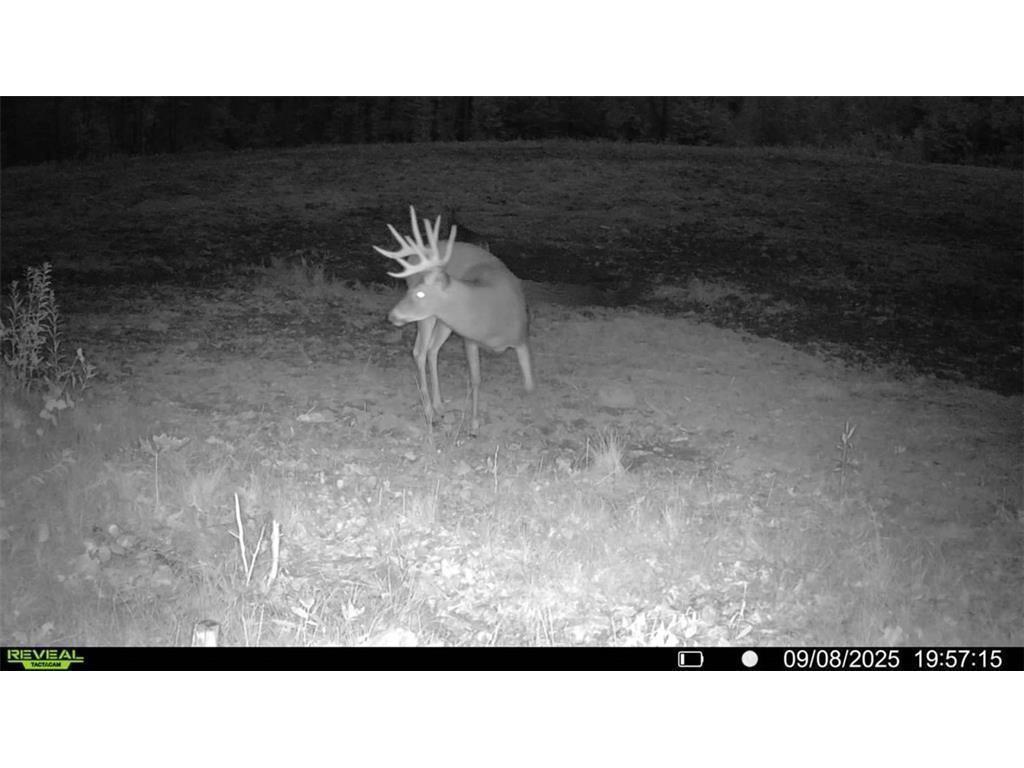 Block 1 Comet Road Couderay WI 54835 - Swift Creek 7002018 image22