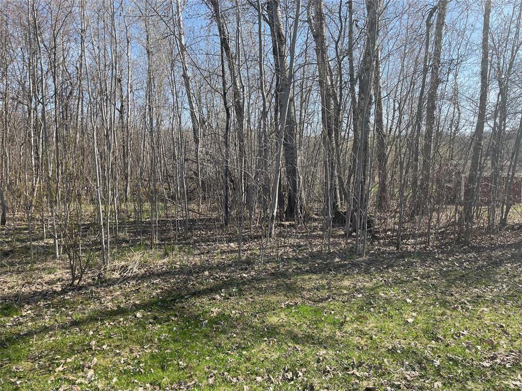 Block 12 Central Street Garrison MN 56450 6164867 image1