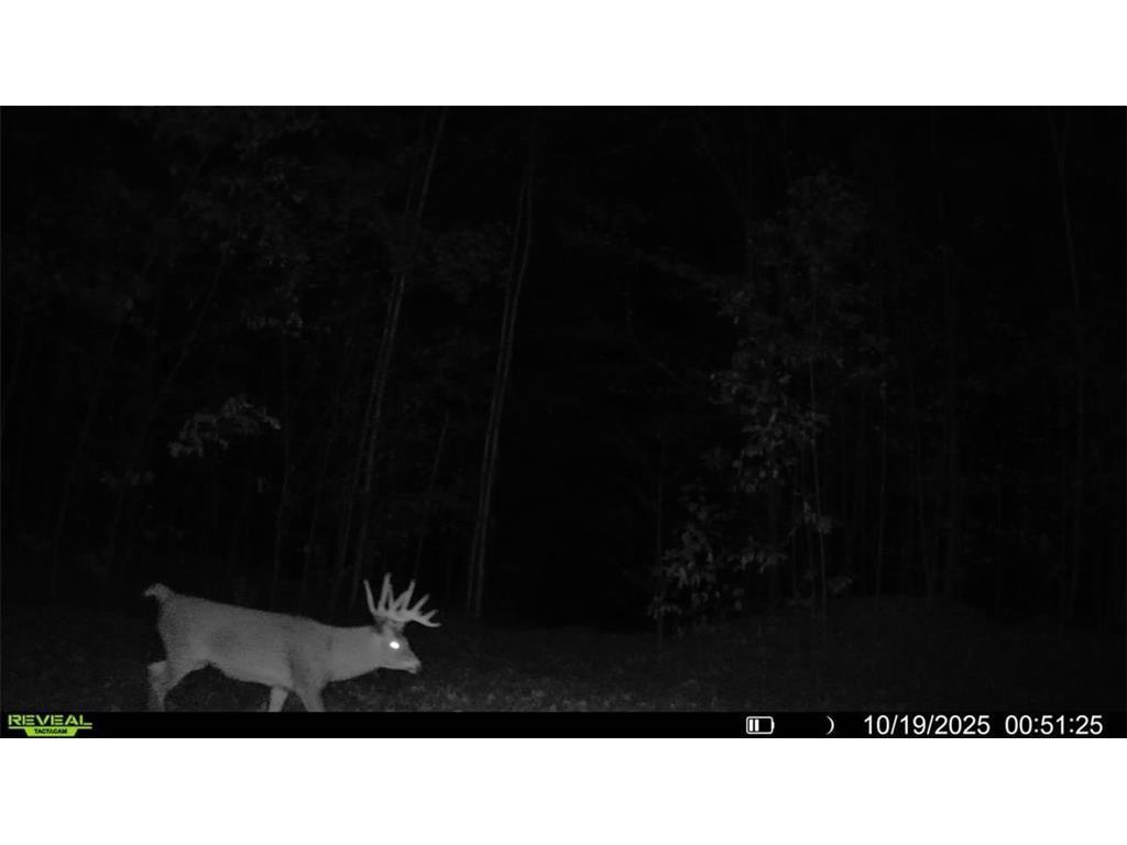 Block 2 Comet Couderay Twp WI 54835 7002052 image13