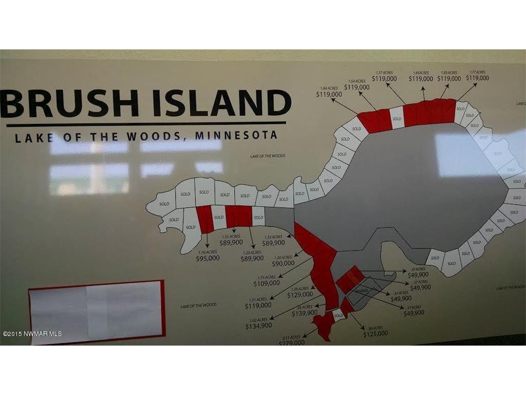 Block 2 Tract 6 Brush Island Angle Inlet MN 56711 - Lake of The Woods 6561305 image3