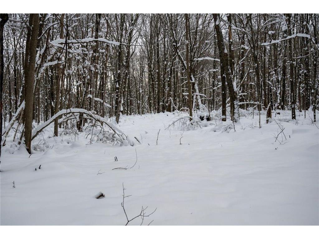 Block 3 Comet Road Couderay Twp WI 54835 - Knuteson Creek 7002090 image10