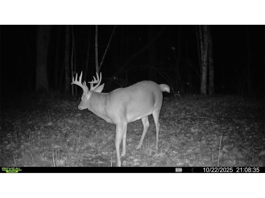 Block 3 Comet Road Couderay Twp WI 54835 - Knuteson Creek 7002090 image15