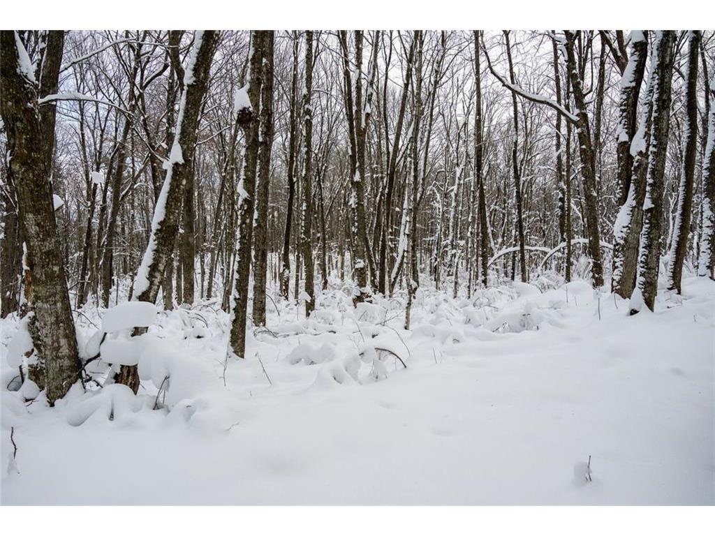 Block 4 Comet Road Couderay Twp WI 54835 - Knuteson Creek 7002095 image12