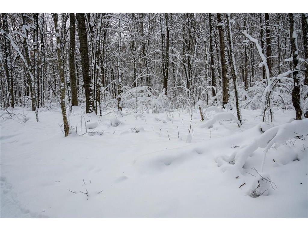 Block 4 Comet Road Couderay Twp WI 54835 - Knuteson Creek 7002095 image13