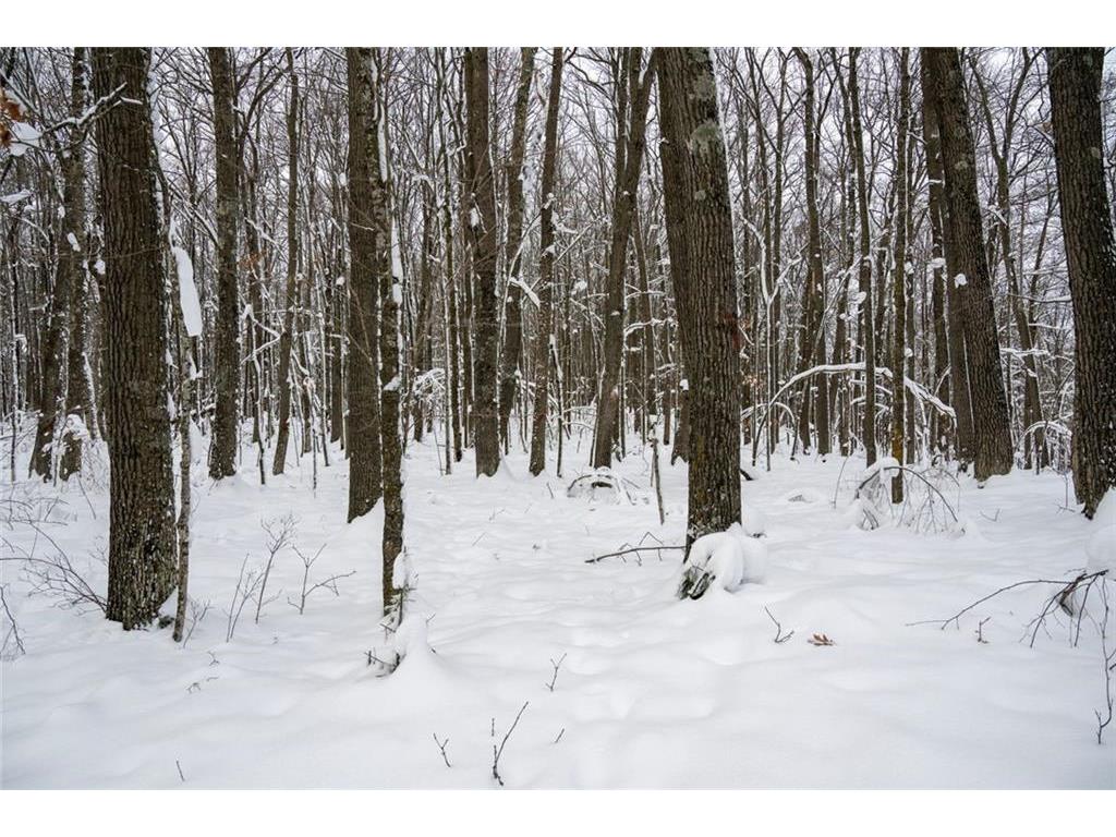 Block 5 Comet Road Couderay Twp WI 54835 - Swift Creek 7002102 image12