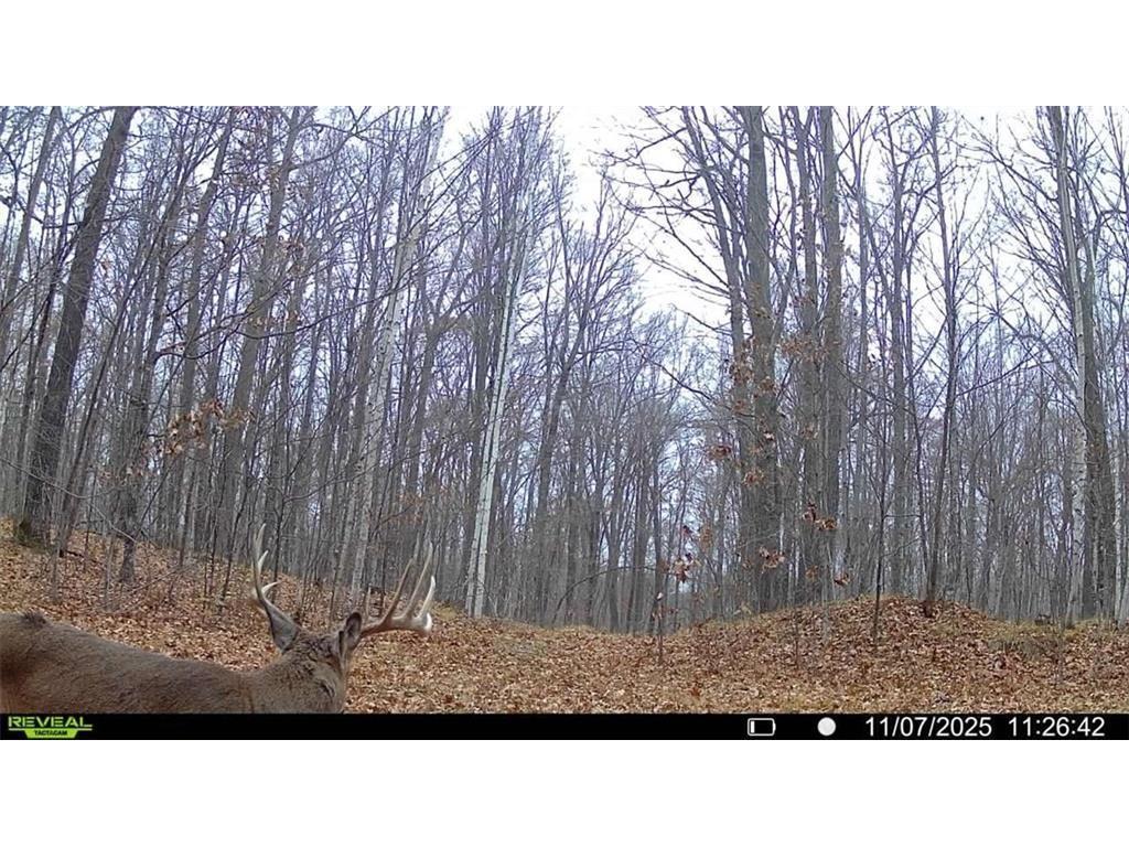 Block 5 Comet Road Couderay Twp WI 54835 - Swift Creek 7002102 image18