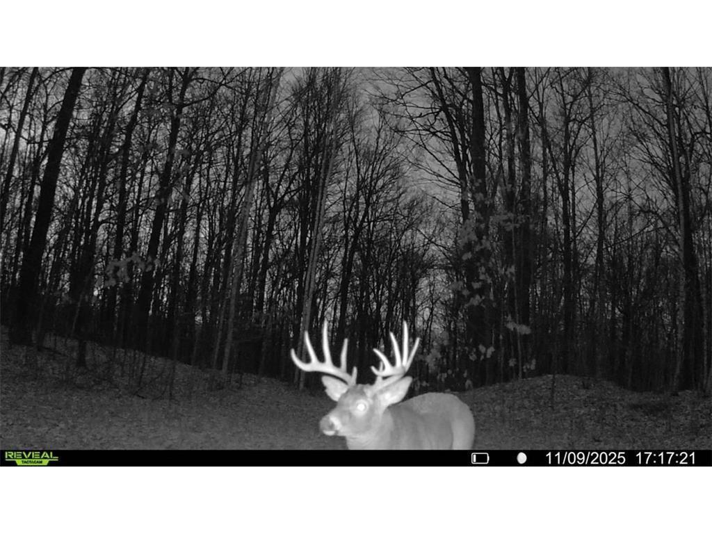 Block 5 Comet Road Couderay Twp WI 54835 - Swift Creek 7002102 image19