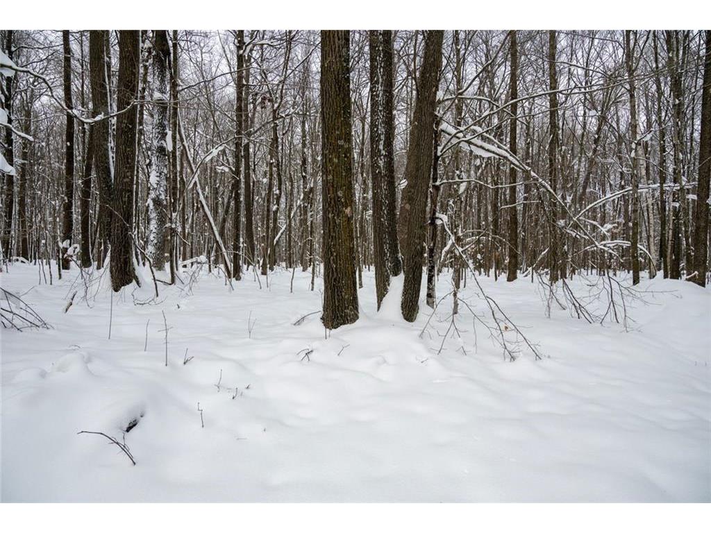 Block 6 Comet Road Couderay Twp WI 54835 7002109 image10