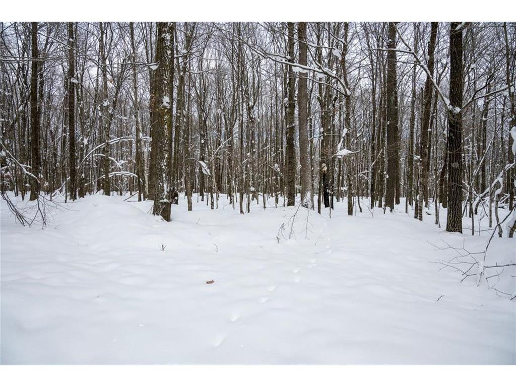 Block 6 Comet Road Couderay Twp WI 54835 7002109 image11