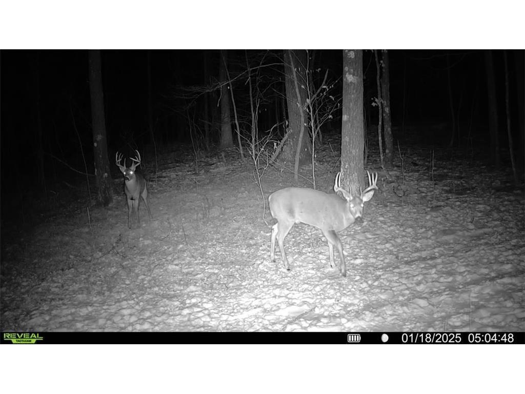 Block 6 Comet Road Couderay Twp WI 54835 7002109 image15