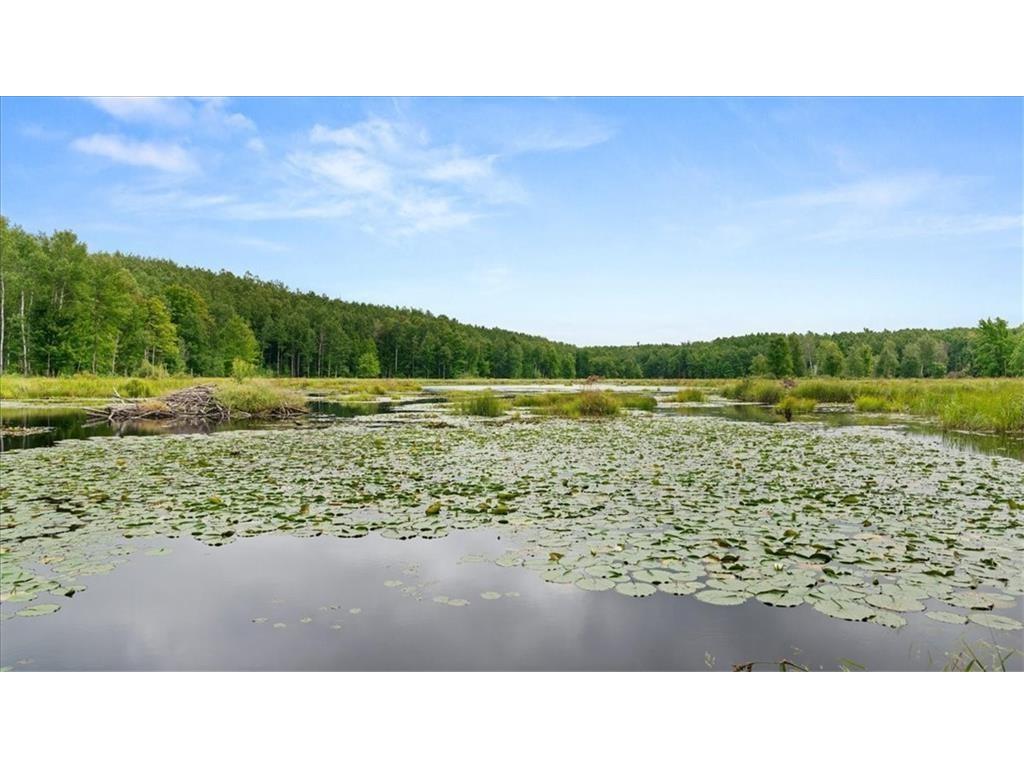 Block 6 Comet Road Couderay Twp WI 54835 7002109 image22