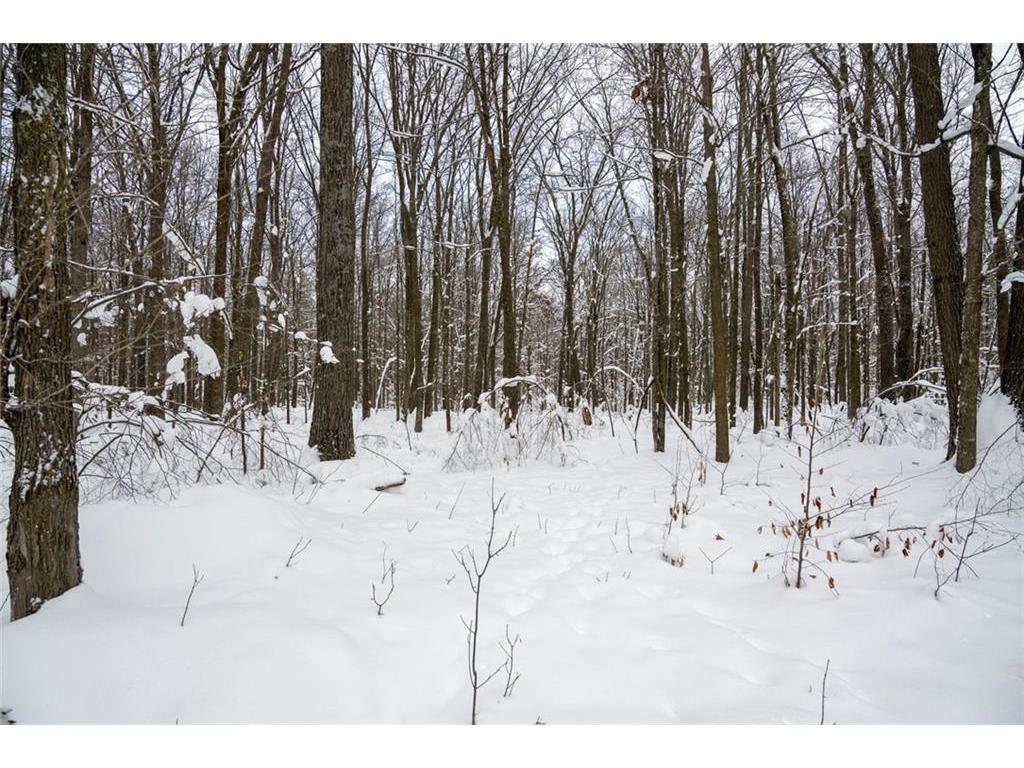 Block 6 Comet Road Couderay Twp WI 54835 7002109 image8