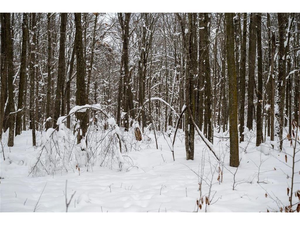 Block 6 Comet Road Couderay Twp WI 54835 7002109 image9