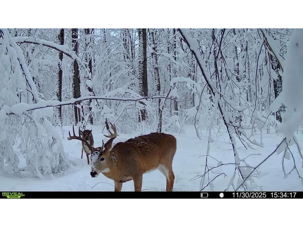 Block 8 Comet Road Couderay Twp WI 54835 7002391 image11