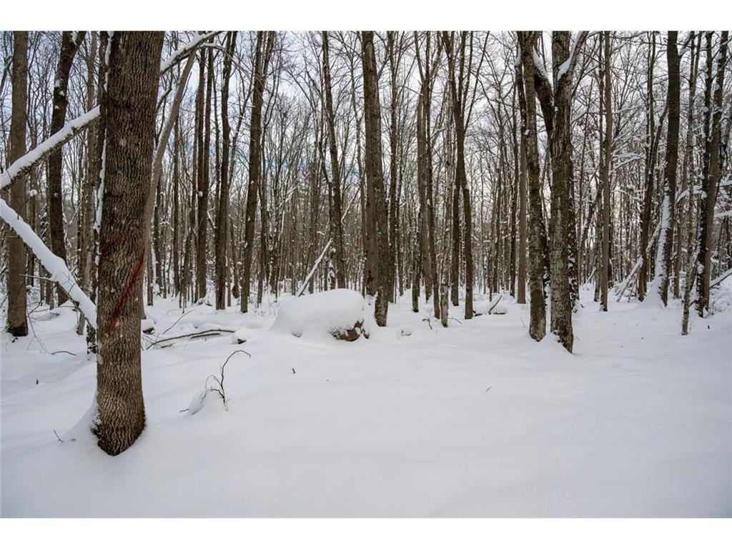 Block 9 Comet Road Couderay Twp WI 54835 - Knuteson Creek 7002401 image10