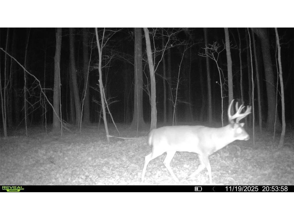 Block 9 Comet Road Couderay Twp WI 54835 - Knuteson Creek 7002401 image12