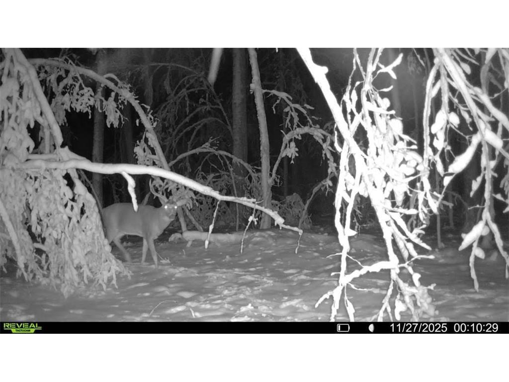 Block 9 Comet Road Couderay Twp WI 54835 - Knuteson Creek 7002401 image15