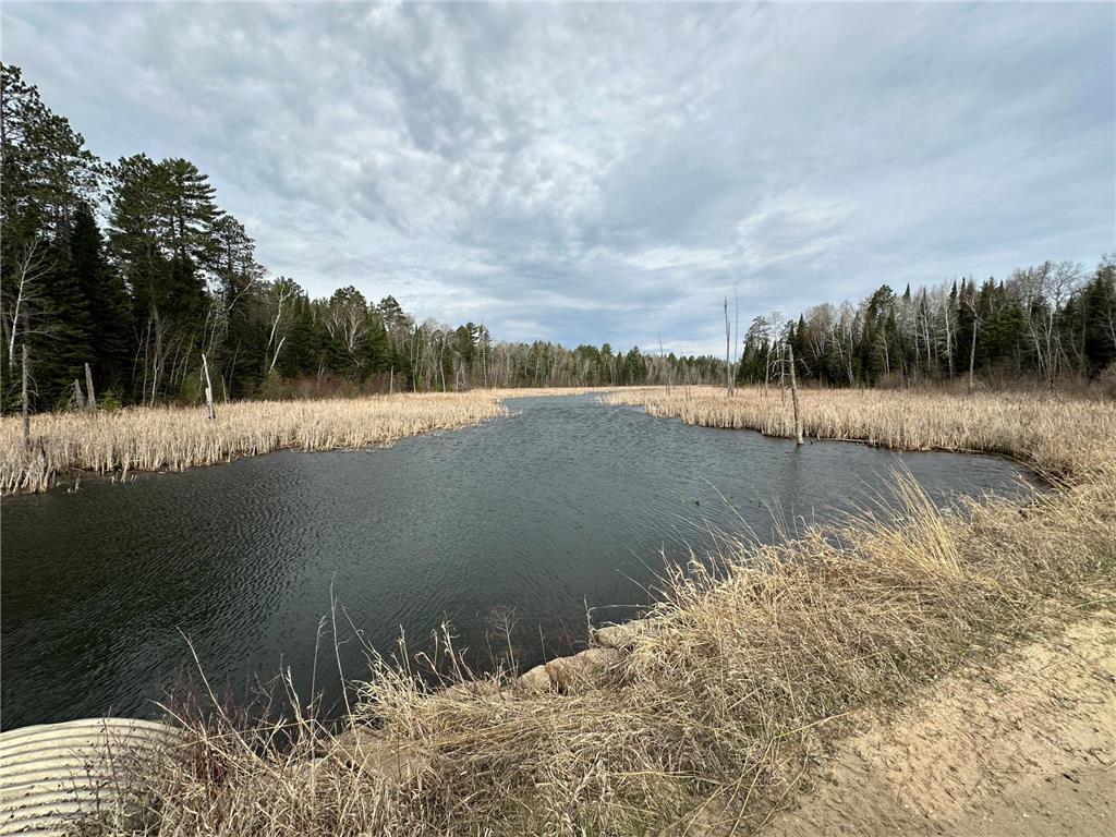 Calypso Trail NW Calypso Trail NW Lammers Twp MN 56601 6519263 image1