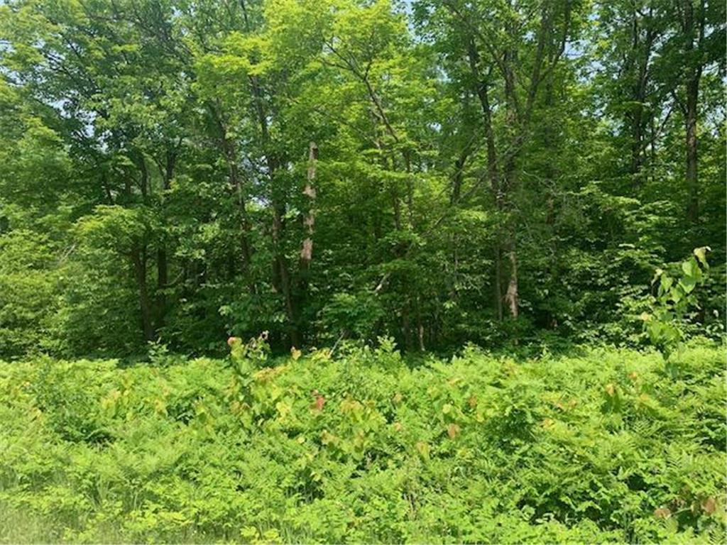 Co. Rd. 244 Freestone Road Grand Rapids MN 55744 6387329 image1