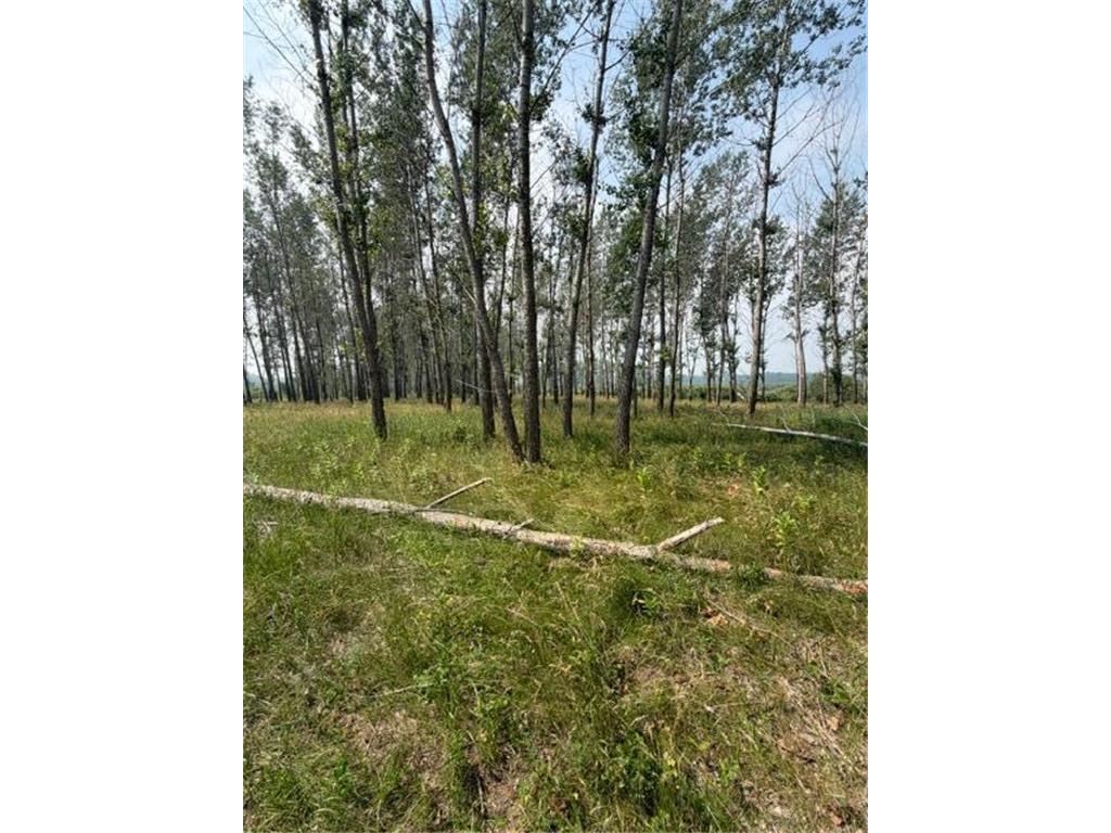 xxx County Rd 26 Verndale MN 56481 7111003 image11