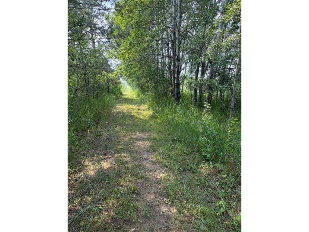 xxx County Rd 26 Verndale MN 56481 7111003 image12