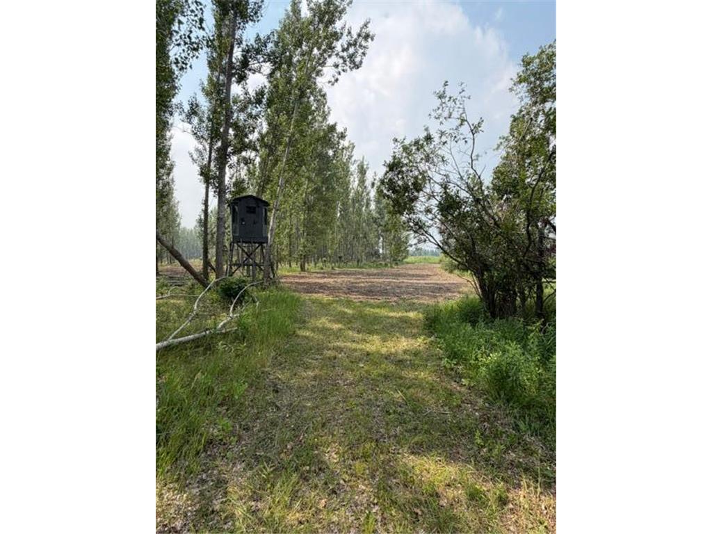 xxx County Rd 26 Verndale MN 56481 7111003 image14
