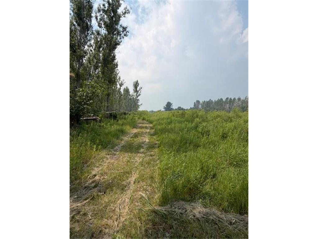 xxx County Rd 26 Verndale MN 56481 7111003 image15