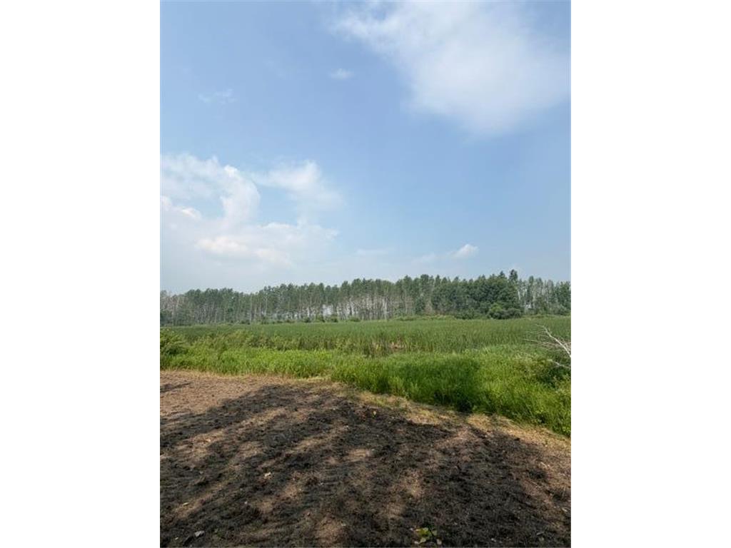 xxx County Rd 26 Verndale MN 56481 7111003 image16