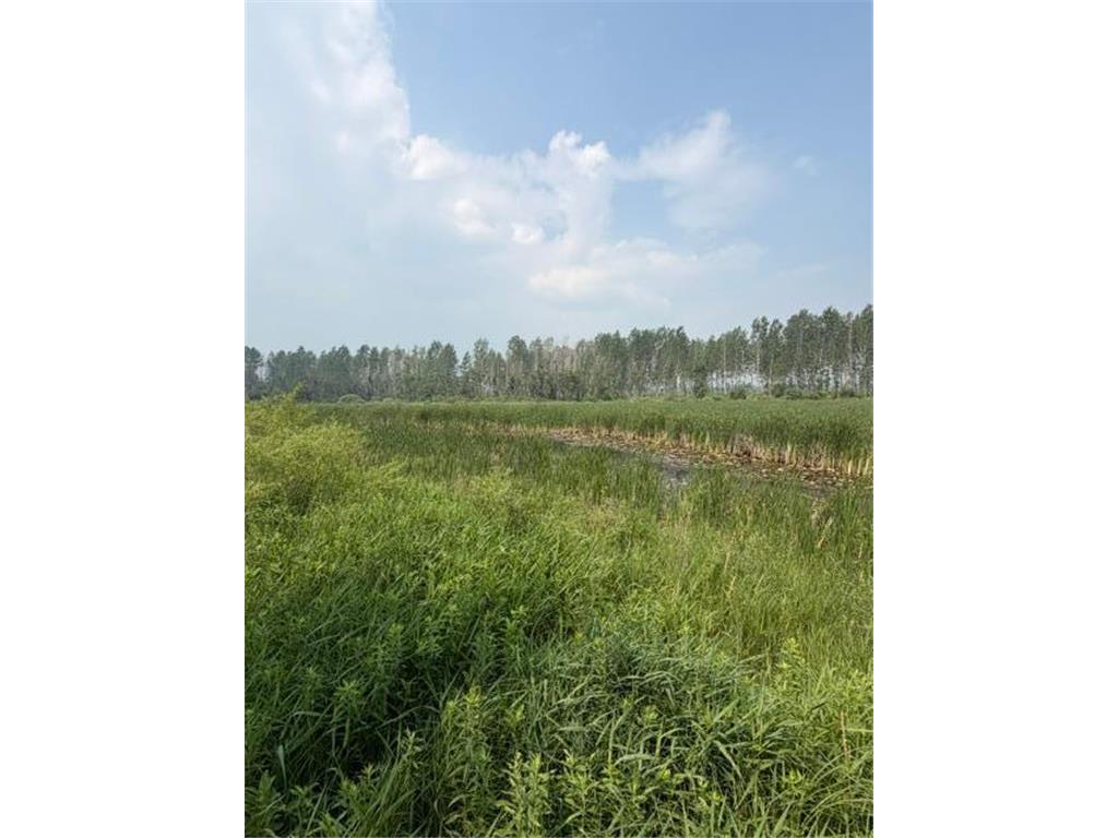 xxx County Rd 26 Verndale MN 56481 7111003 image17