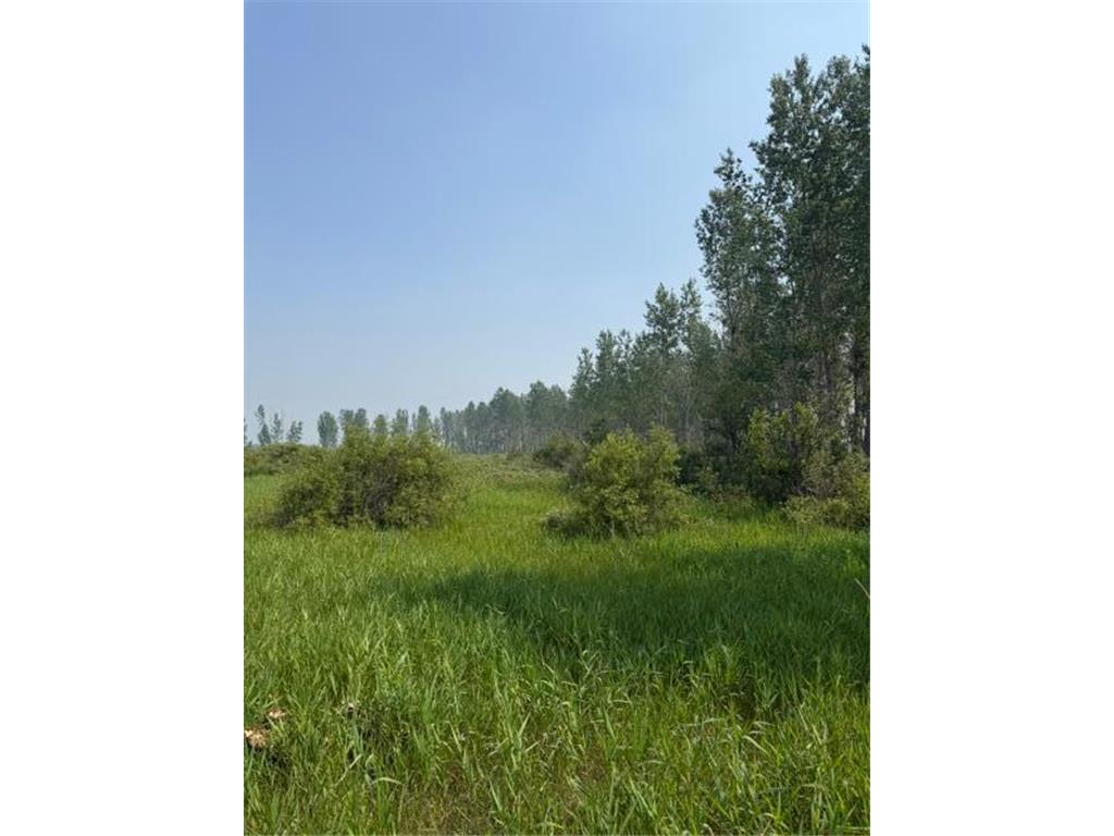 xxx County Rd 26 Verndale MN 56481 7111003 image18