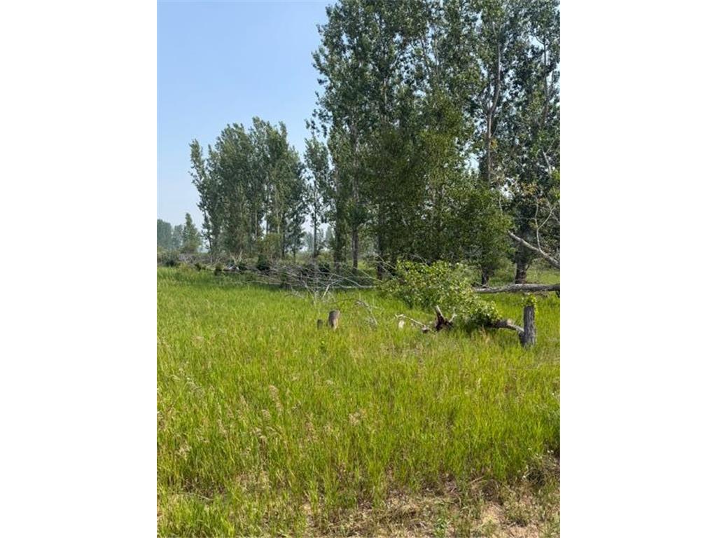 xxx County Rd 26 Verndale MN 56481 7111003 image3