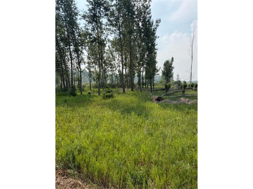 xxx County Rd 26 Verndale MN 56481 7111003 image6