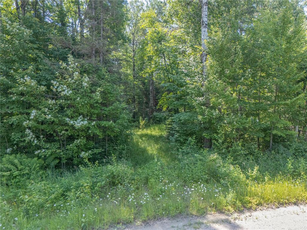 TBD County Road 308 Mountain Iron MN 55768 7102954 image3