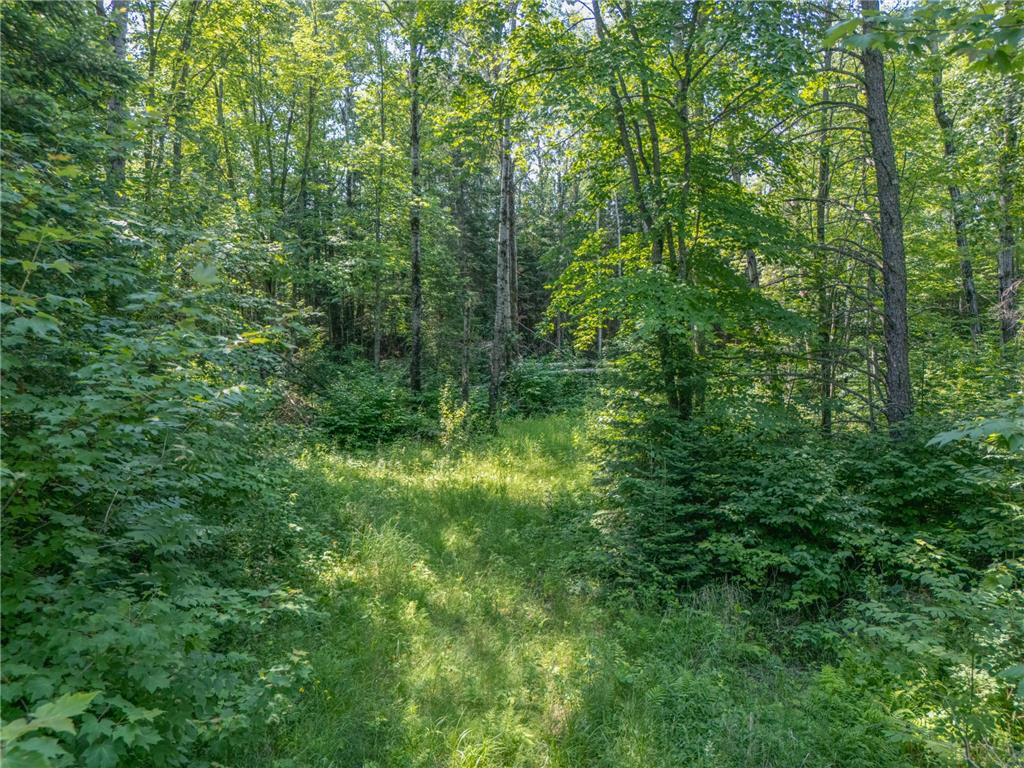 TBD County Road 308 Mountain Iron MN 55768 7102954 image4