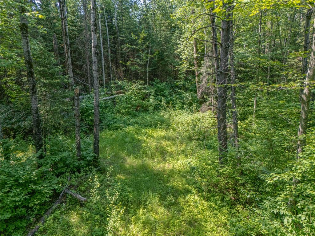 TBD County Road 308 Mountain Iron MN 55768 7102954 image5