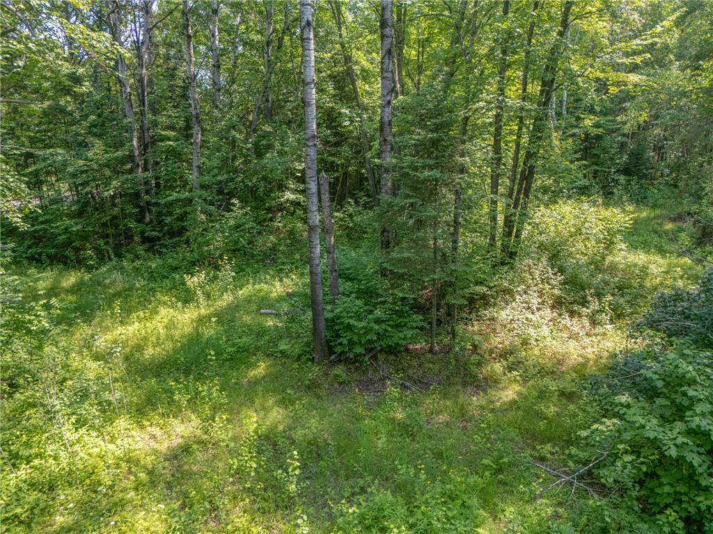 TBD County Road 308 Mountain Iron MN 55768 7102954 image6