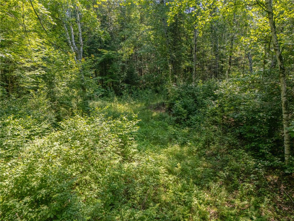 TBD County Road 308 Mountain Iron MN 55768 7102954 image7