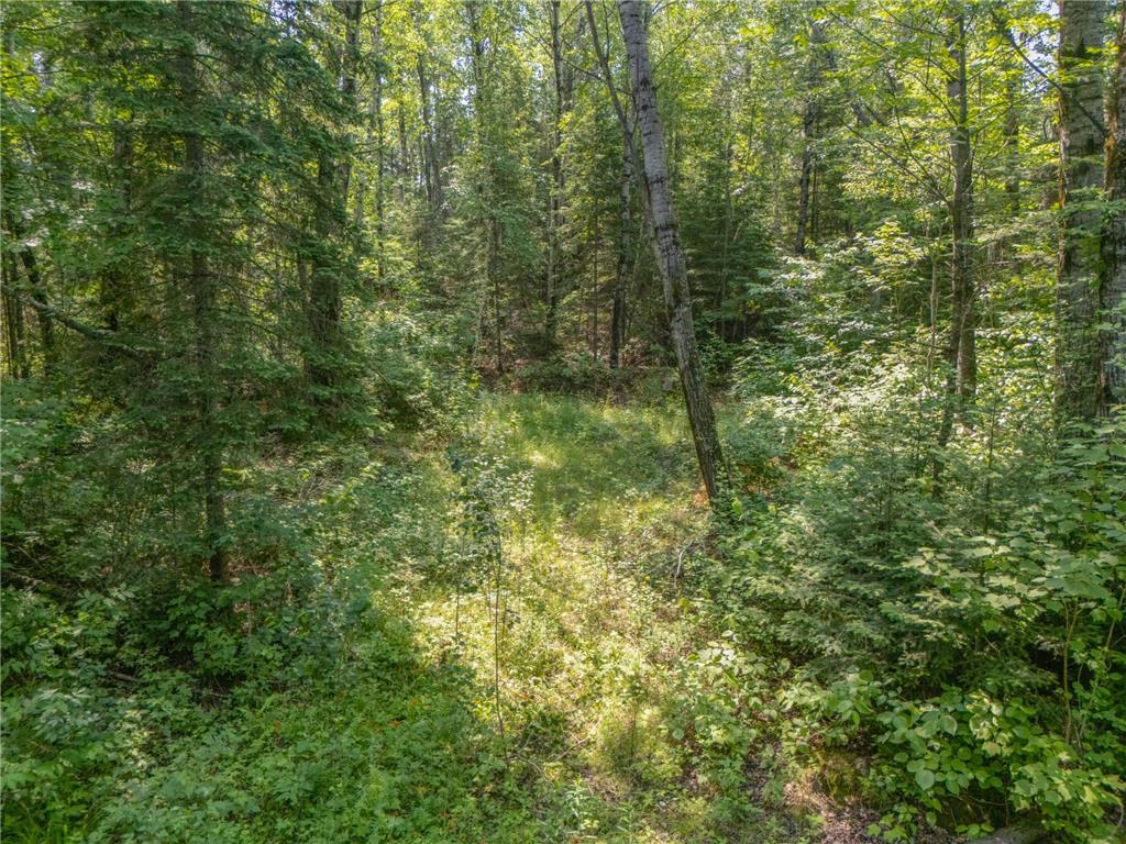 TBD County Road 308 Mountain Iron MN 55768 7102954 image8