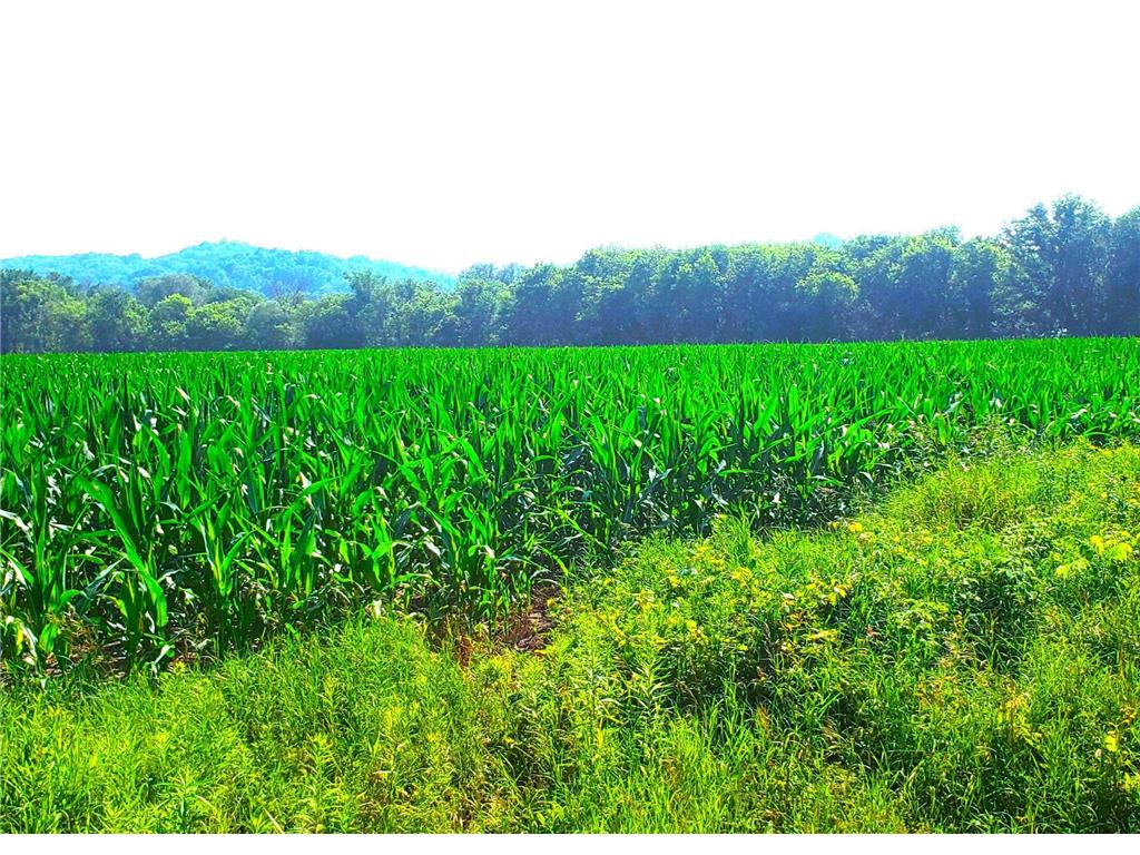 E2044 770th Avenue Stanton Twp WI 54749 - Wilson Creek 6750031 image14