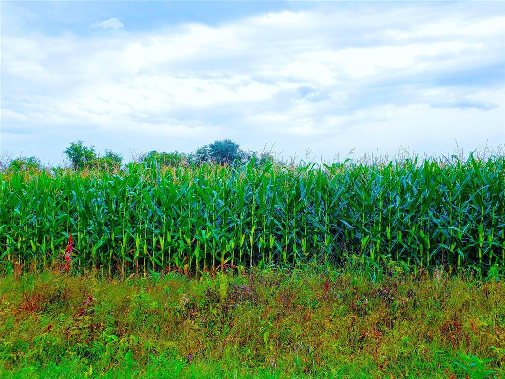 E2044 770th Avenue Stanton Twp WI 54749 - Wilson Creek 6750031 image20