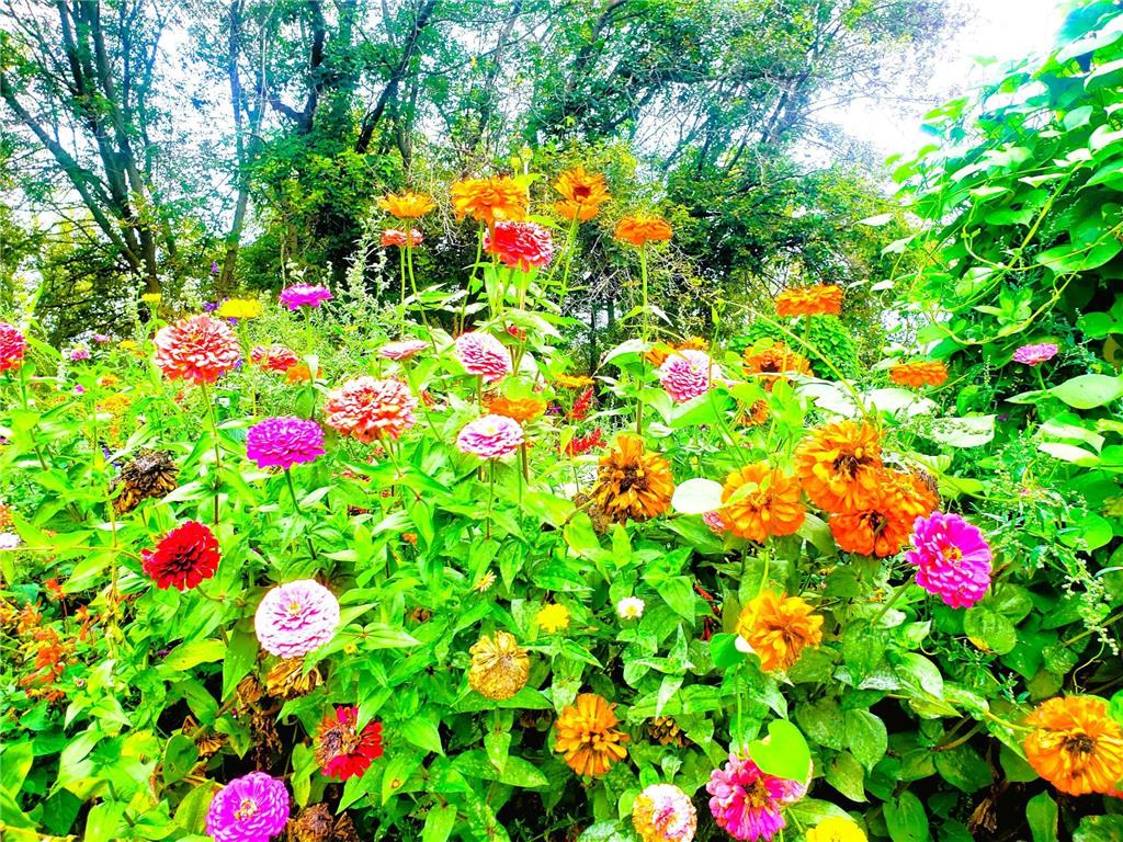 E2044 770th Avenue Stanton Twp WI 54749 - Wilson Creek 6750031 image25