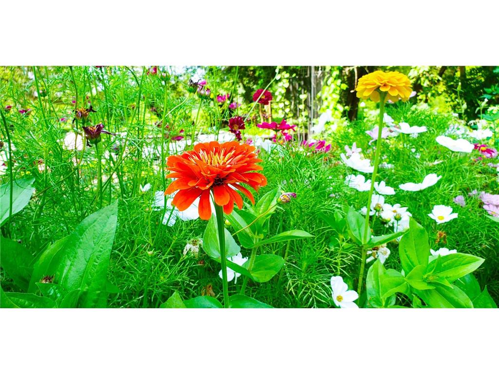 E2044 770th Avenue Stanton Twp WI 54749 - Wilson Creek 6750031 image26