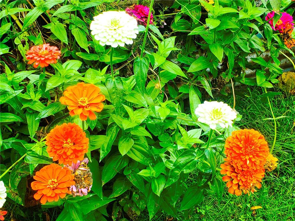 E2044 770th Avenue Stanton Twp WI 54749 - Wilson Creek 6750031 image28