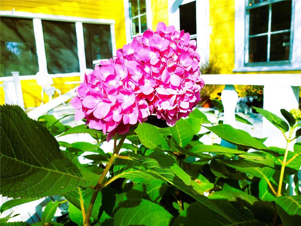 E2044 770th Avenue Stanton Twp WI 54749 - Wilson Creek 6750031 image67